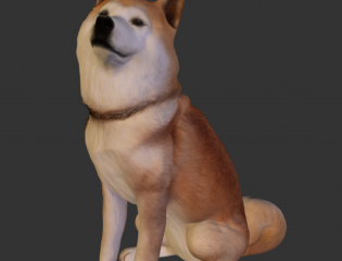 犬の3Dプリント用データ