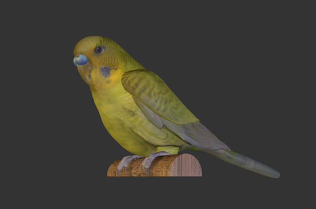 Tweetie